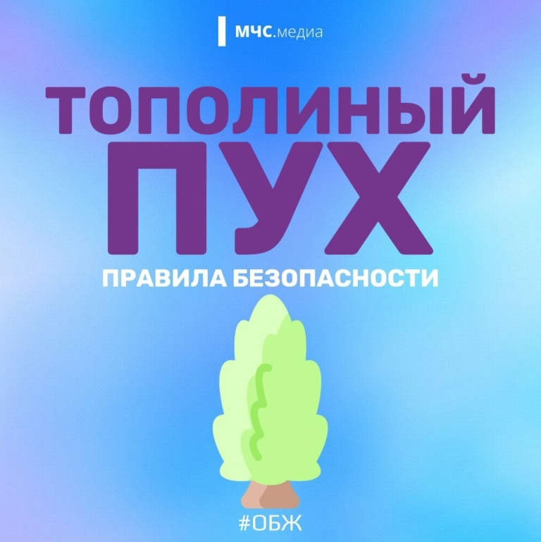 Тополиный пух.