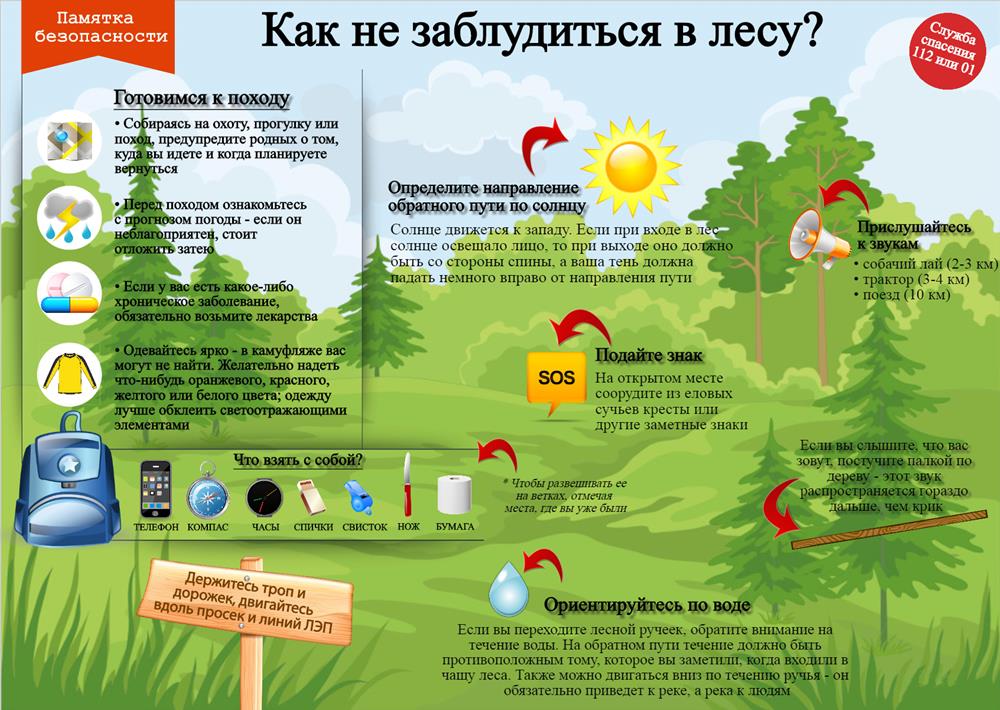 Как не заблудится в лесу!.