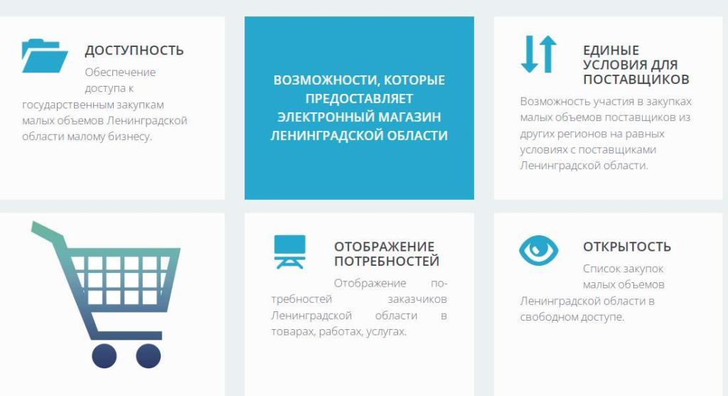 Электронный магазин помогает бизнесу продавать.