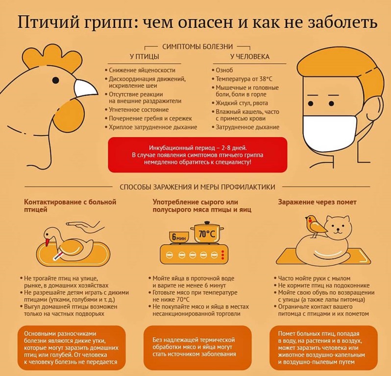 ВНИМАНИЕ! ГРИПП ПТИЦ!.