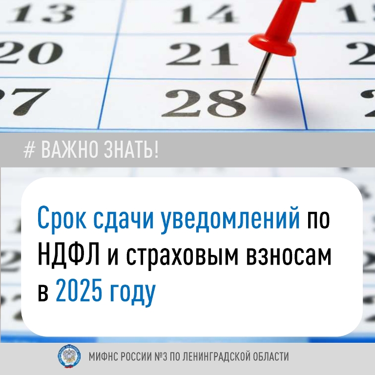 С 01.01.2024 уведомления об исчисленных суммах НДФЛ в обязательном порядке представляются дважды в месяц.