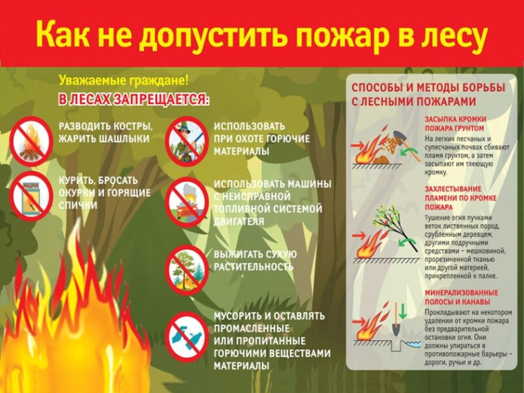 Как уберечь лес от огня. Как уберечь лес от огня.